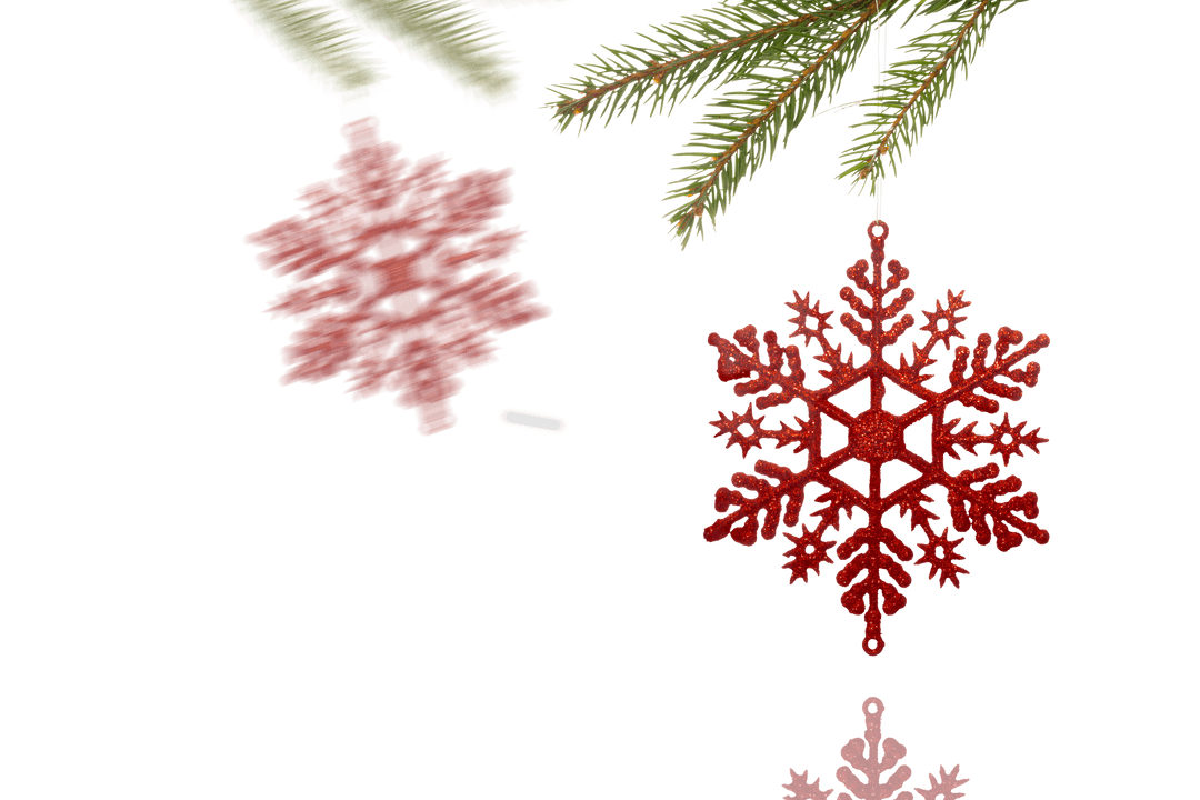 Transparent Red Christmas Decorations with Spruce Branches