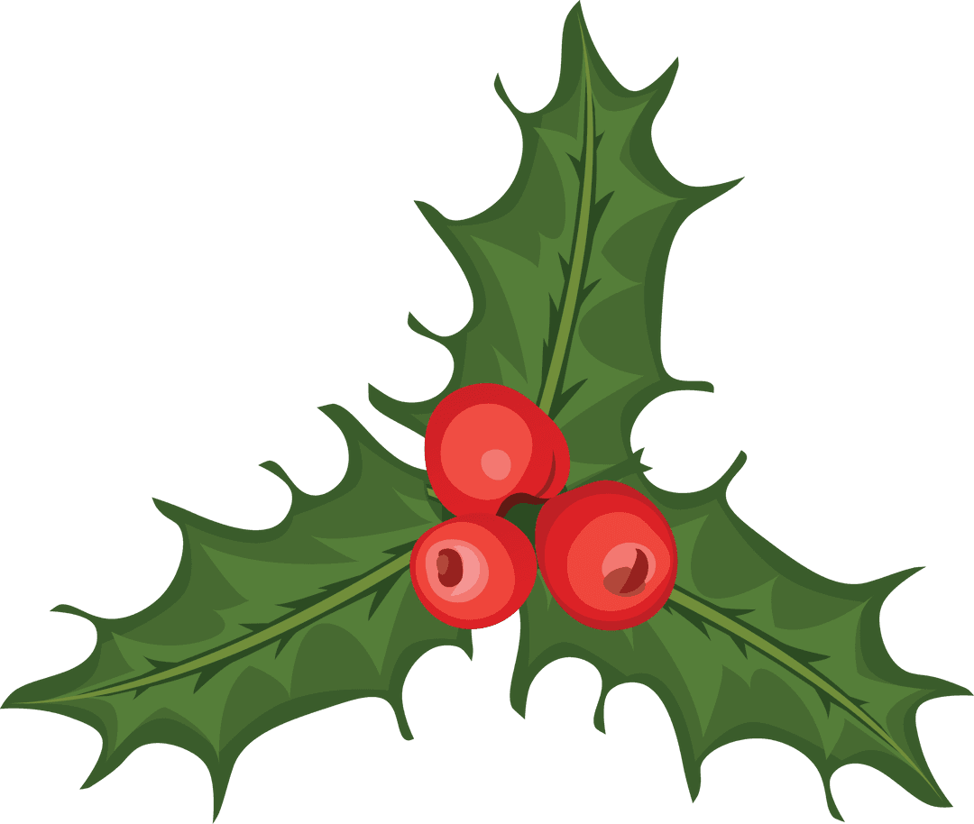 Christmas Holly Decoration with Red Berries on Transparent Background