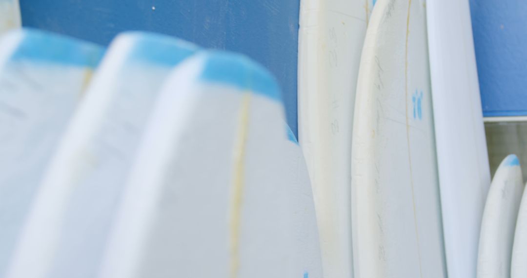 Close-Up of Surfboards Lined Up Against Blue Wall - Free Images, Stock Photos and Pictures on Pikwizard.com