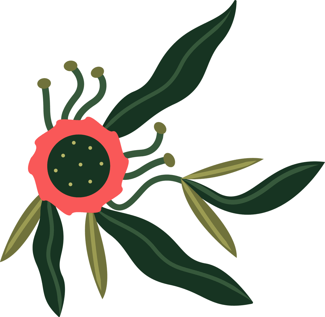 Stylized Red Flower with Green Leaves on Transparent Background