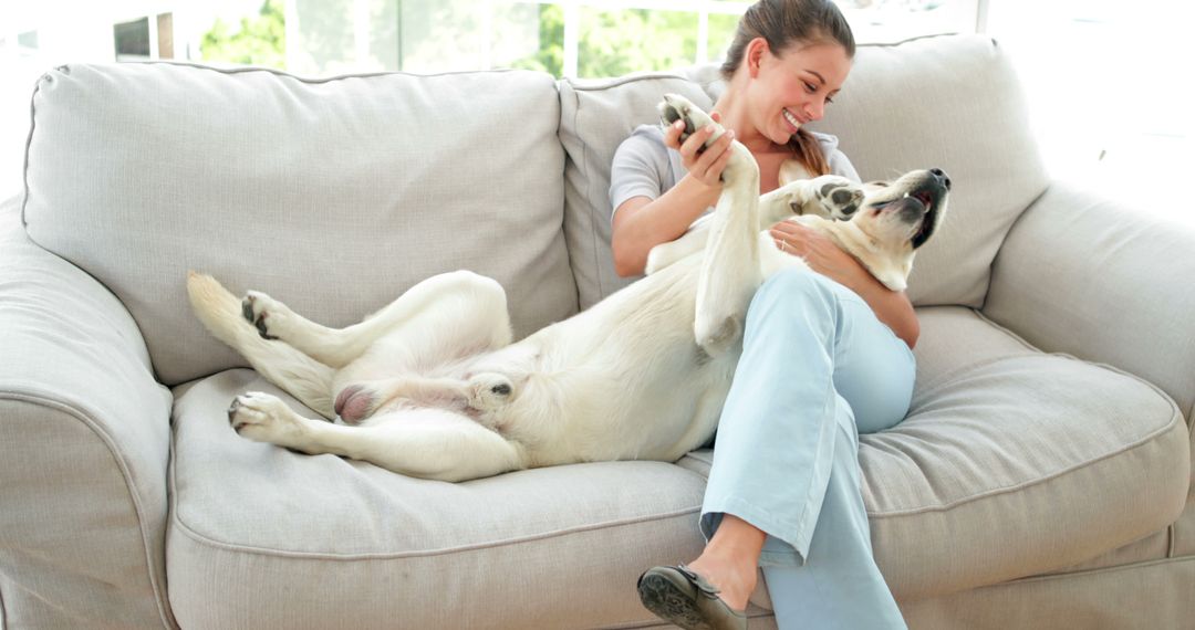 Laughing woman petting her labrador dog on the couch at home in the living room - Free Images, Stock Photos and Pictures on Pikwizard.com