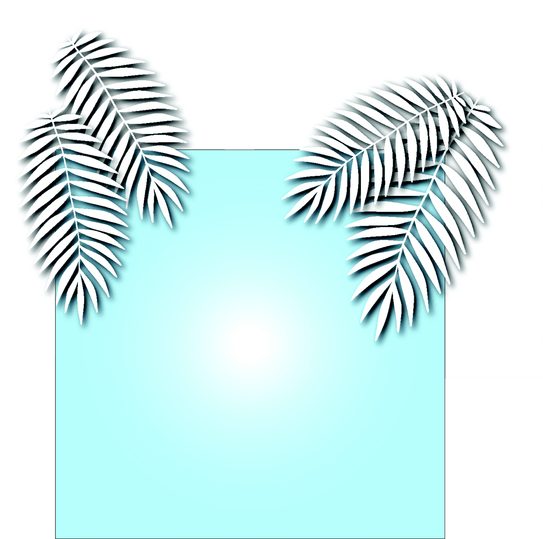 Abstract Shape with White Palm Leaves on Transparent Background