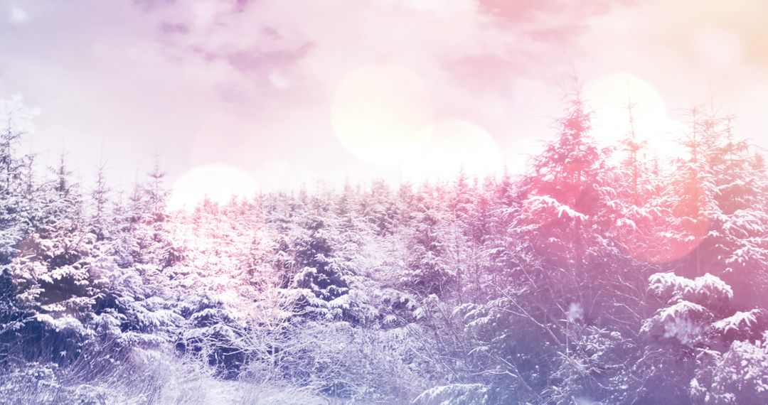 Dreamy Winter Wonderland with Snow-Covered Trees
