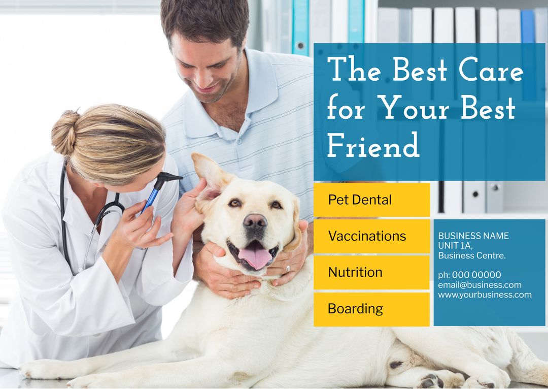 Veterinarian Examines Cheerful Dog To Promote Veterinary Services and Trust - Download Free Stock Templates Pikwizard.com