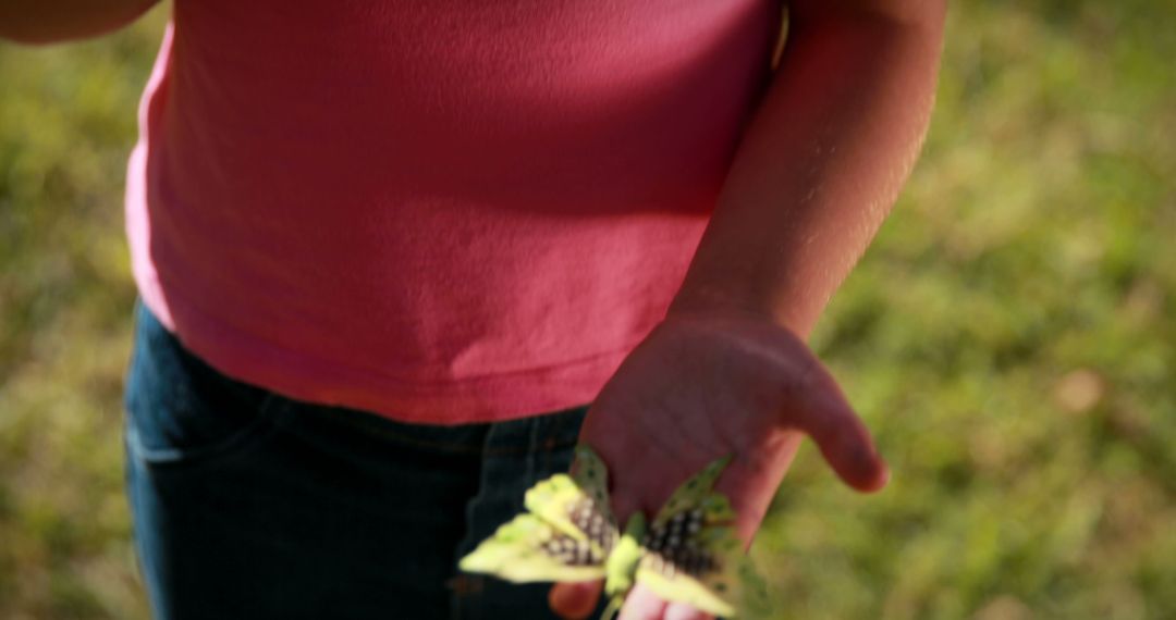 Close-up of Person Holding Butterfly in Hand Outdoors - Free Images, Stock Photos and Pictures on Pikwizard.com