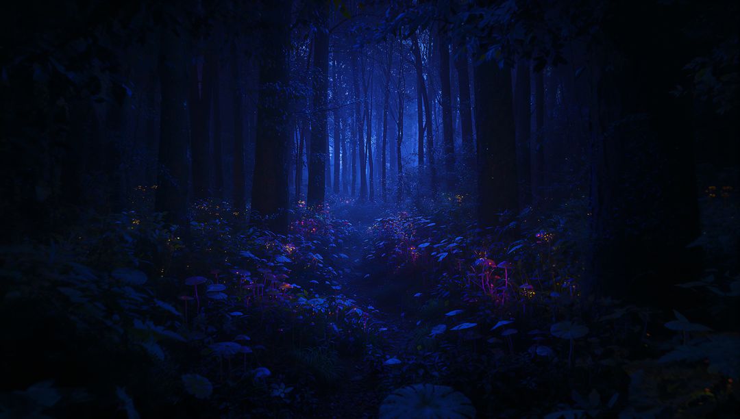 Enchanted Nighttime Forest with Glowing Mushrooms and Orbs