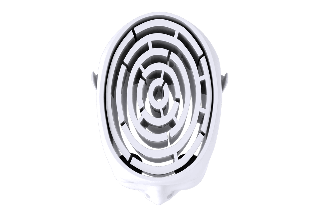 Head with Labyrinth Overlay Transparent Background