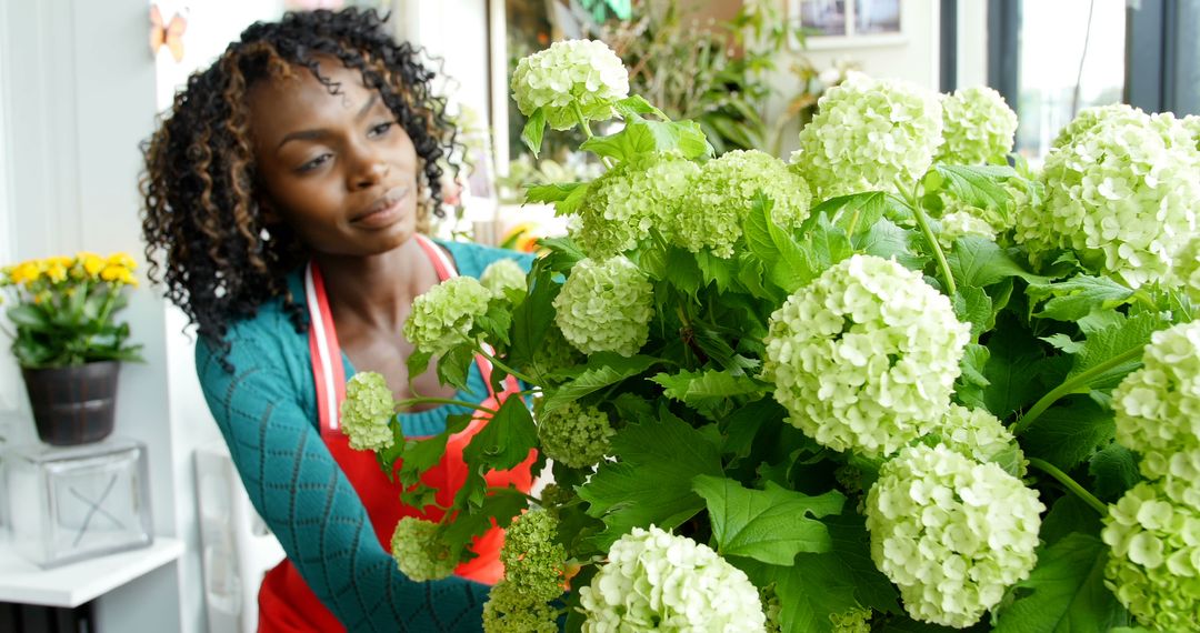 Female Florist Arranging Hydrangea Flowers in Shop - Free Images, Stock Photos and Pictures on Pikwizard.com