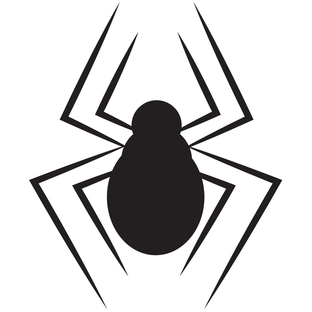 Spider Silhouette Invoking Mystery and Intrigue