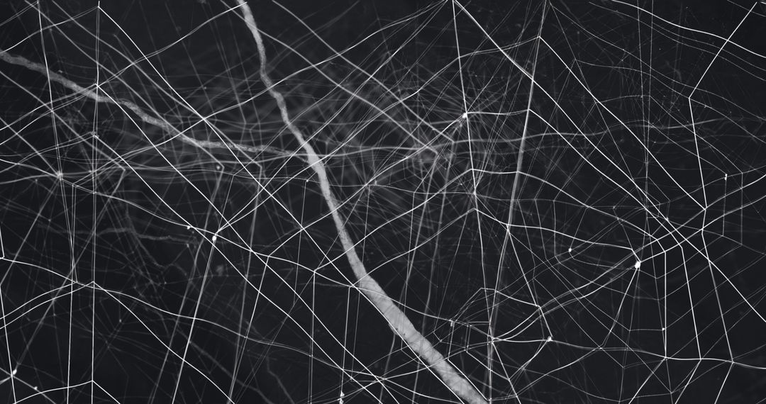 Intricate Spider Web with Geometric Patterns for Halloween - Free Images, Stock Photos and Pictures on Pikwizard.com