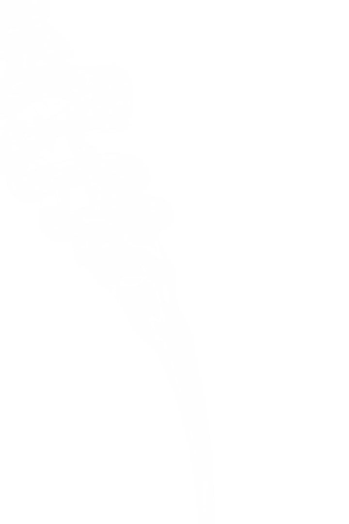 White Smoke Swirling on Transparent Background