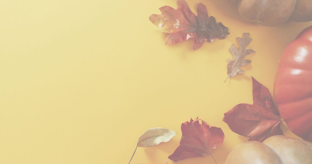 Minimal autumn flatlay featuring pumpkin gourds, dried leaves and negative space on yellow