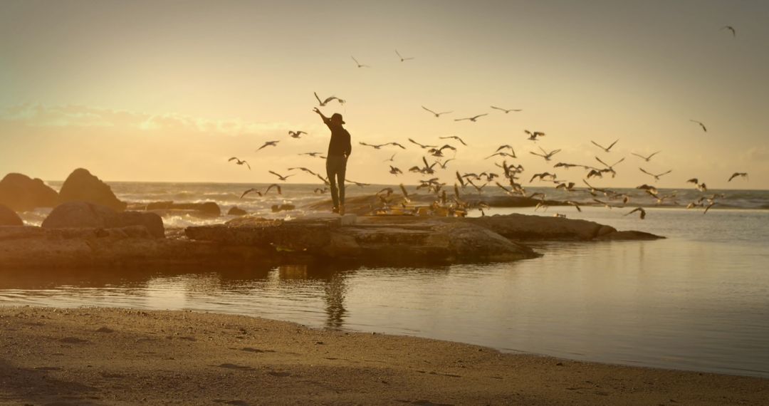 Man Silhouette with Birds at Sunrise Over Tranquil Ocean