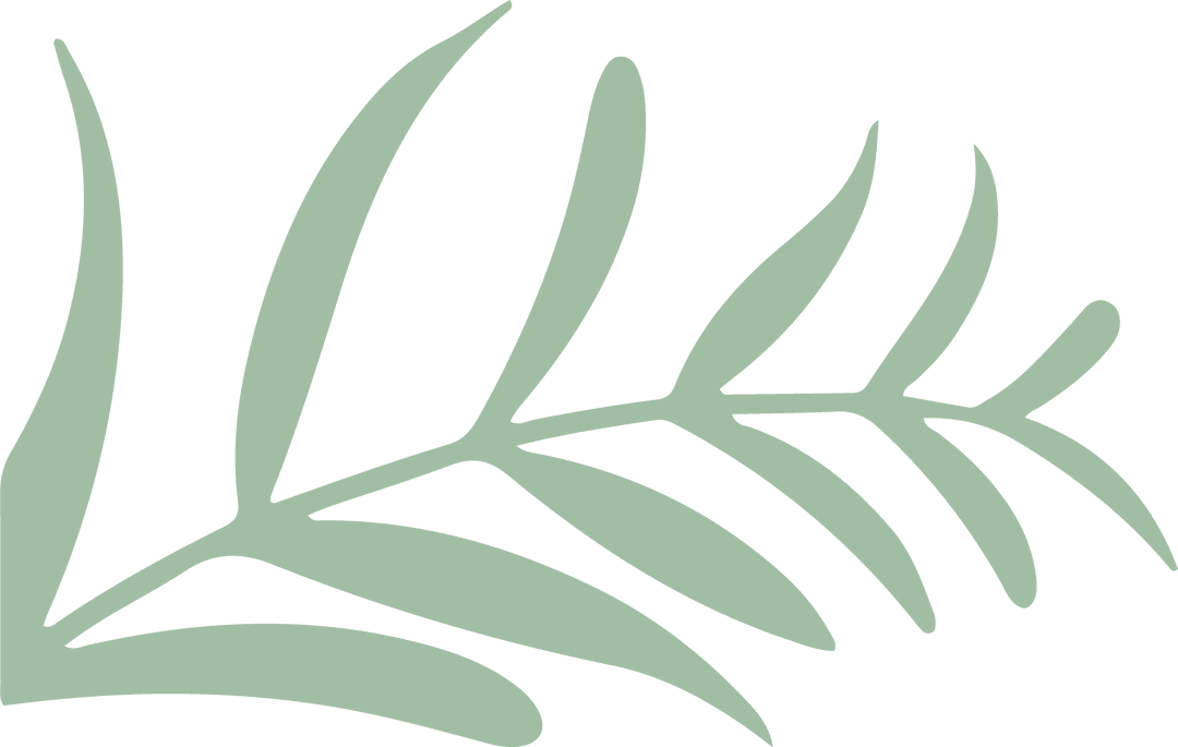 Minimalist Mint Green Leafy Branch on Transparent Background