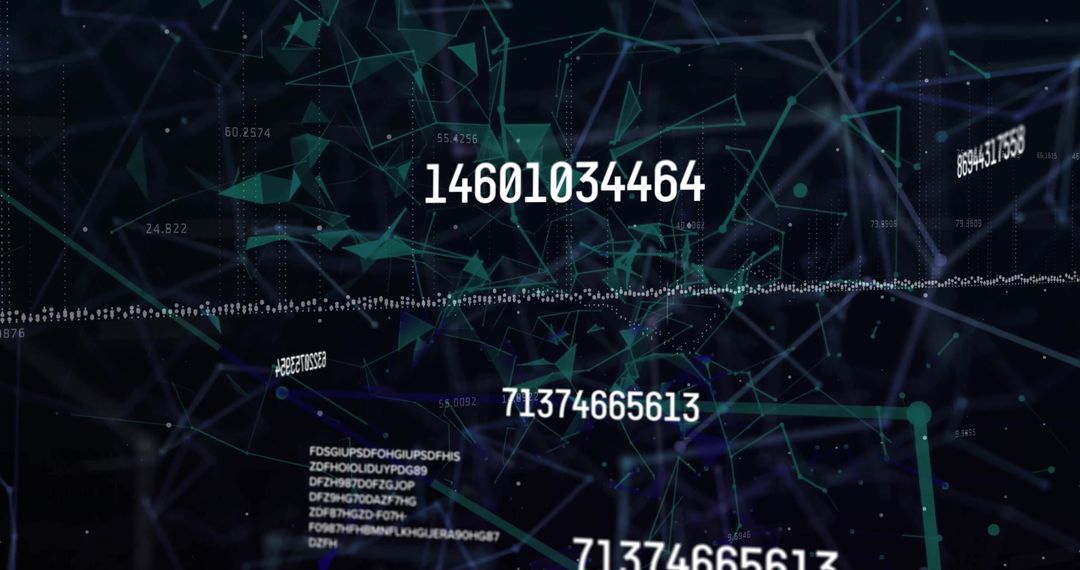 Digital financial data visualization with network connections