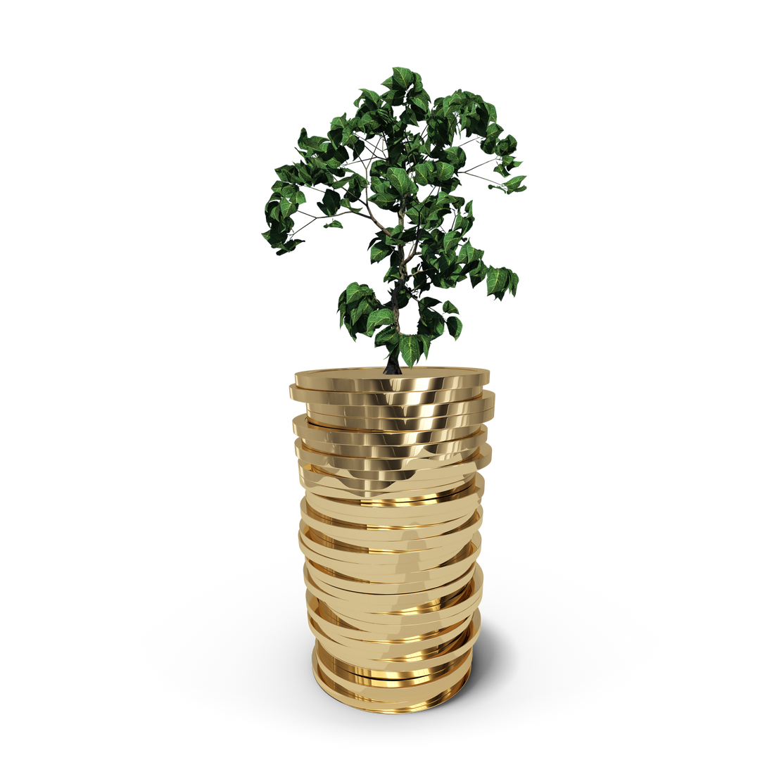 Illustration of Transparent Growing Tree in Golden Coin Pot - Download Free Stock Images Pikwizard.com