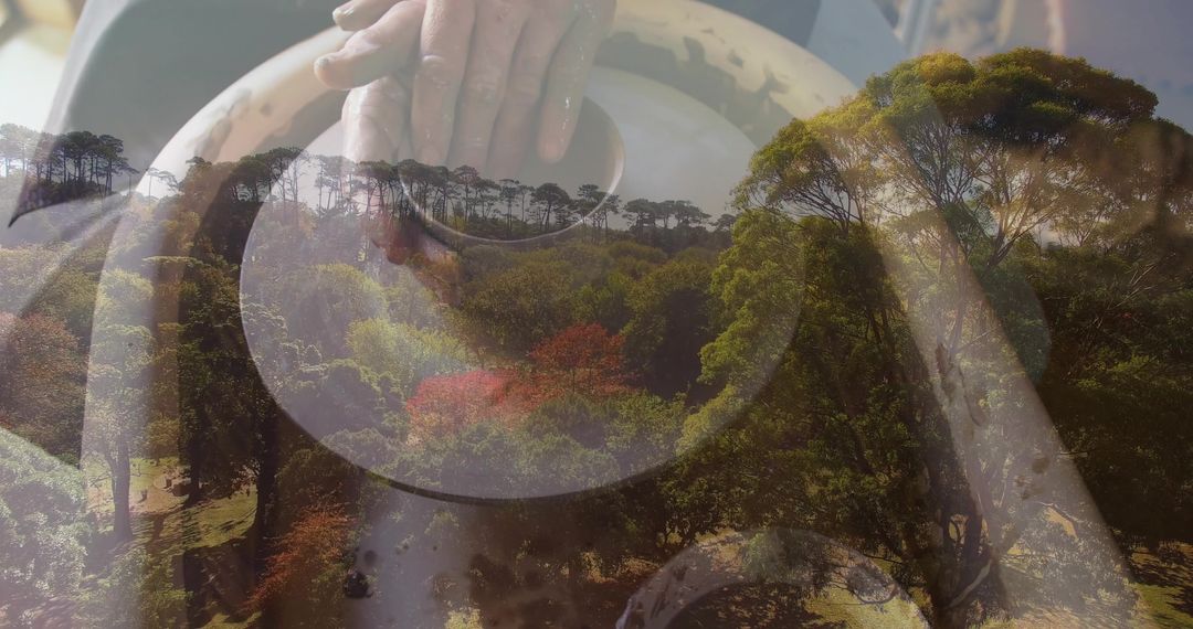 Creative Potter Spinning Clay with Forest Canopy Harmony