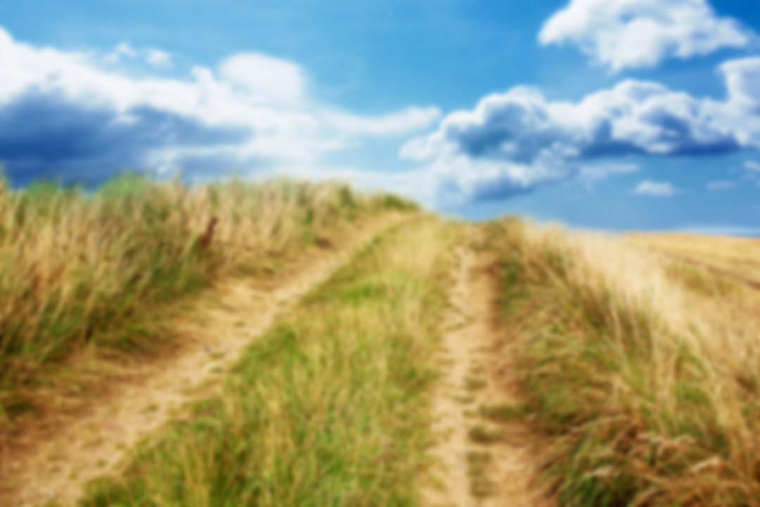 Transparent Dusty Path in Countryside with Grass Growing and Blue Sky Background - Download Free Stock Images Pikwizard.com