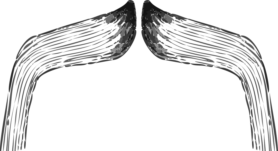 Symmetrical Brushstroke Wings on Transparent Background