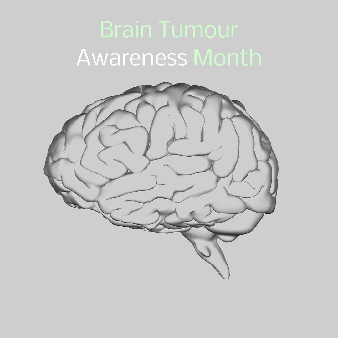 3D Brain Illustration for Brain Tumour Awareness Initiatives