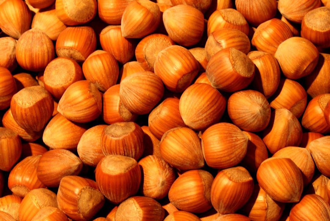Close-Up of a Pile of Hazelnuts in Shells Full Frame - Free Images, Stock Photos and Pictures on Pikwizard.com