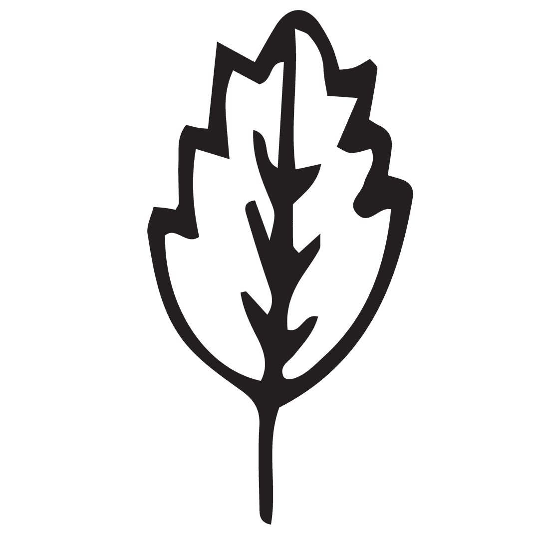 Abstract Leaf Symbol on Transparent Background