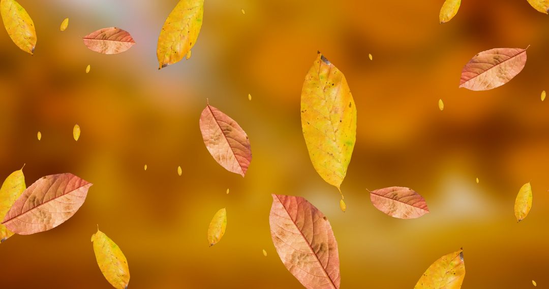 Falling Autumn Leaves on Warm Orange Background Concept