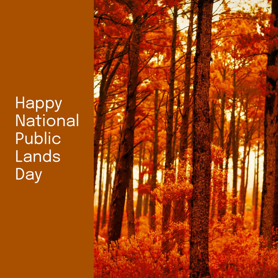 Celebrating National Public Lands Day in Vibrant Autumn Forest