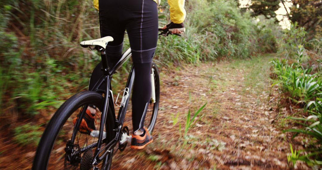 Cyclist Riding Mountain Bike through Forest Trail - Free Images, Stock Photos and Pictures on Pikwizard.com