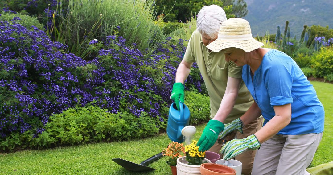 Senior Couple Gardening Together in Colorful Flower Garden - Free Images, Stock Photos and Pictures on Pikwizard.com