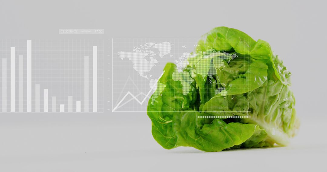Digital Agriculture and Data Analysis on Fresh Green Lettuce