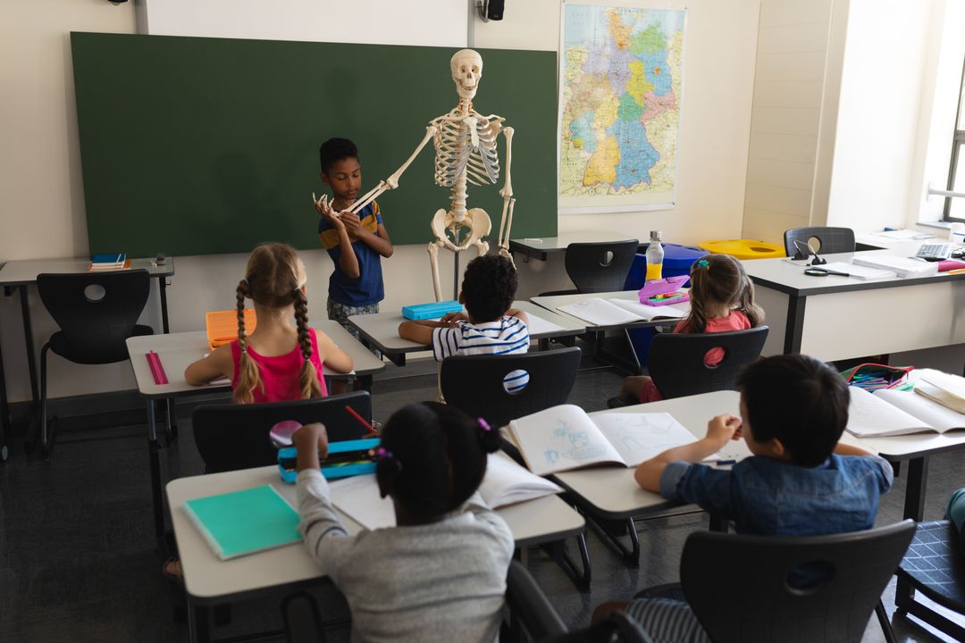 Schoolboy Explaining Human Skeleton Model in Classroom - Free Images, Stock Photos and Pictures on Pikwizard.com
