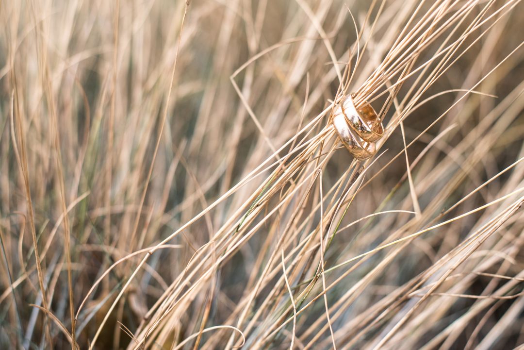 Gold Wedding Rings on Dry Grass in Nature - Free Images, Stock Photos and Pictures on Pikwizard.com