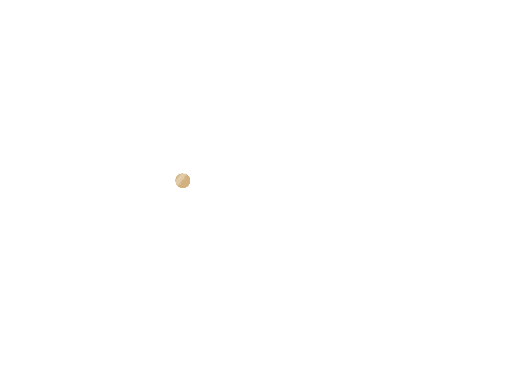Minimalist White Dove with Olive Branch on Transparent Background