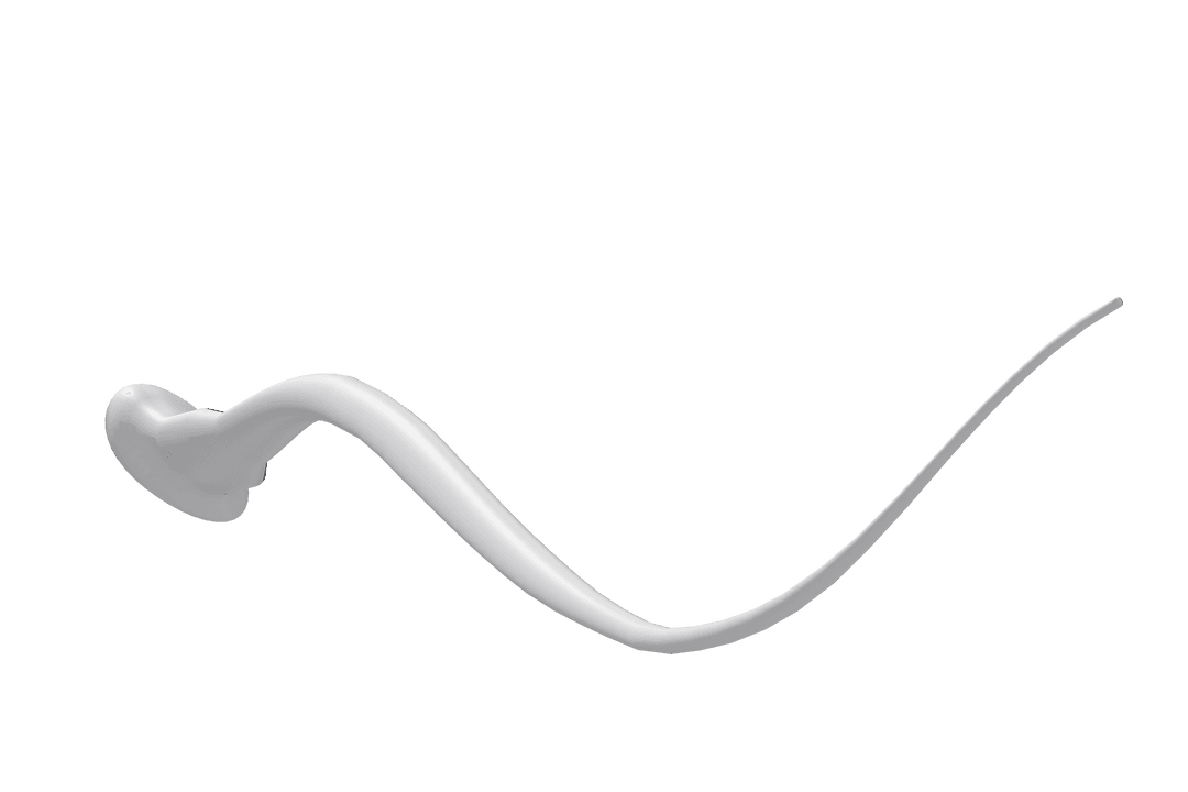 Transparent Computer Graphic of Sperm on White Background