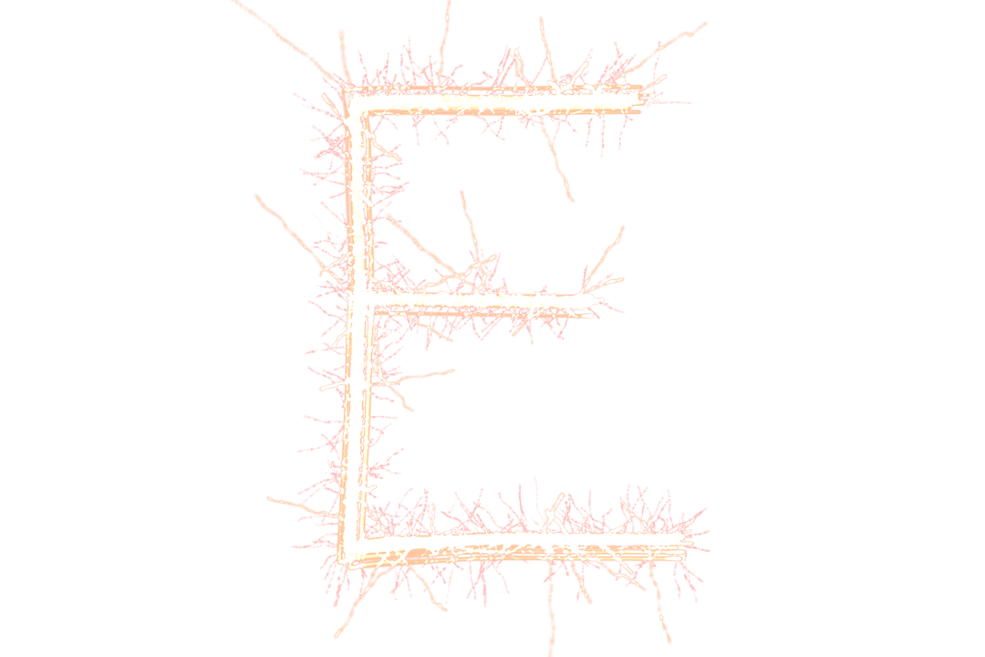 Stylized Pink Letter E with Transparent Coral Texture