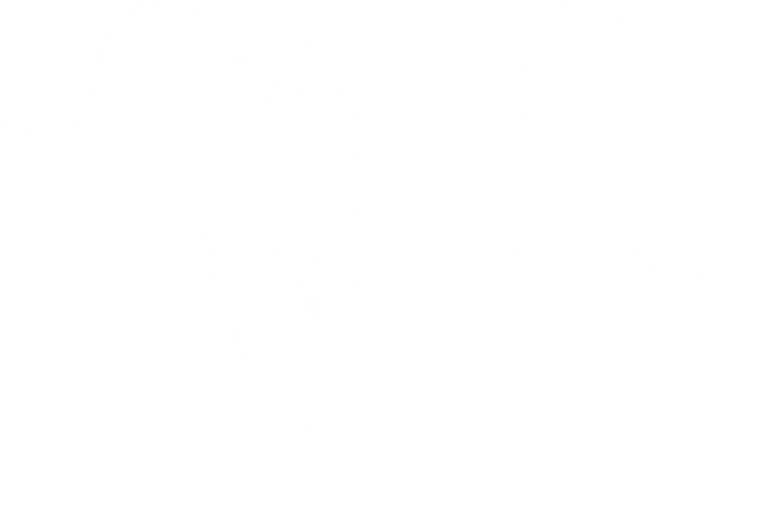 Silhouette of Sportsman Weightlifting - Digital PNG Illustration on Transparent Background - Download Free Stock Images Pikwizard.com