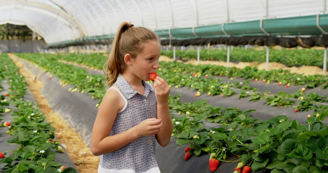 Caucasian girl enjoys a strawberry in a greenhouse, with copy space - Free Images, Stock Photos and Pictures on Pikwizard.com