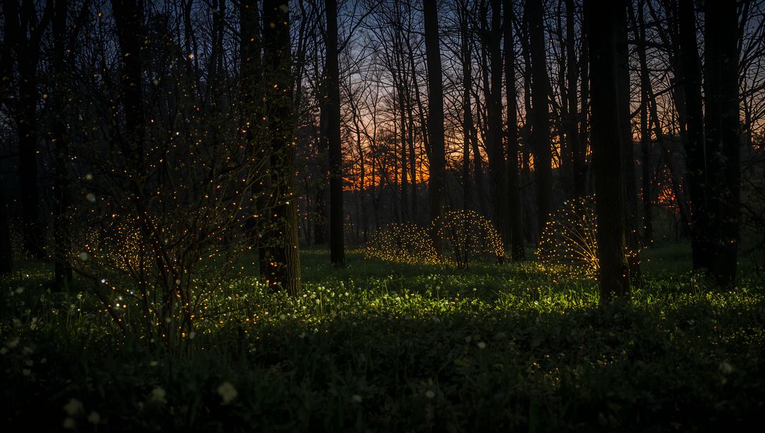 Glowing Fairy Lights Casting Warm Glow Over Shrub Mounds in Magical Twilight Woodland