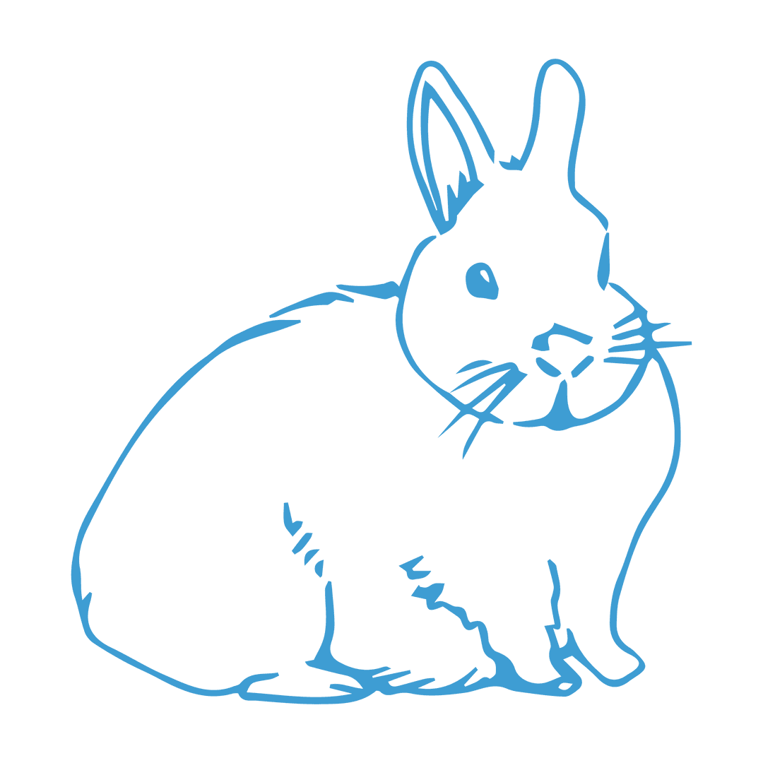 Blue Rabbit Illustration on Transparent Background