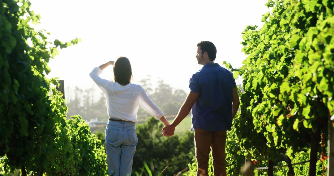 A young Caucasian couple holds hands while walking through a lush vineyard, with copy space - Free Images, Stock Photos and Pictures on Pikwizard.com
