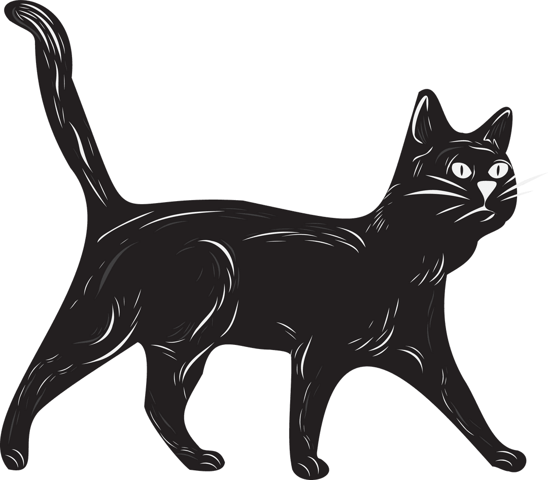 Elegant Black Cat Illustration on Transparent Canvas