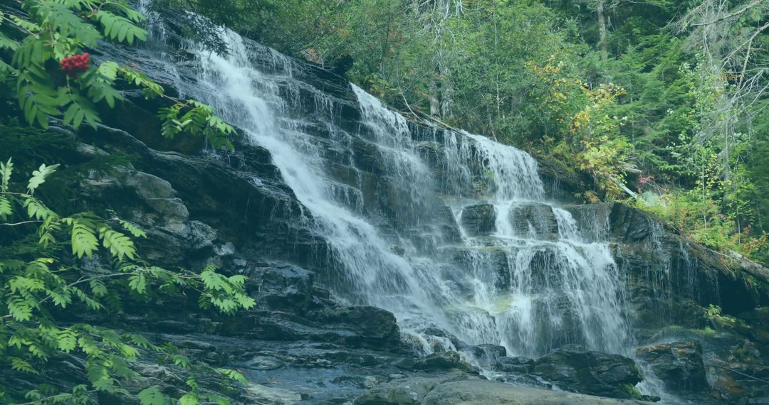Clear Waterfall Over Layered Rocks in Lush Forest