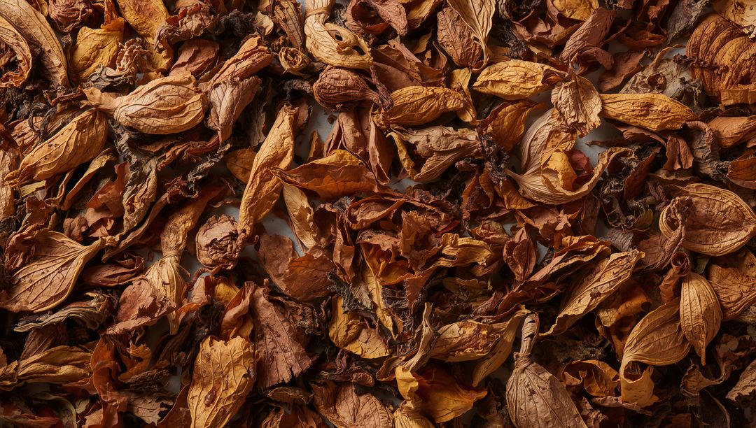 Dried Botanical Mix Close-Up Texture of Seed Pods Leaves Petals Rustic Warm Tones