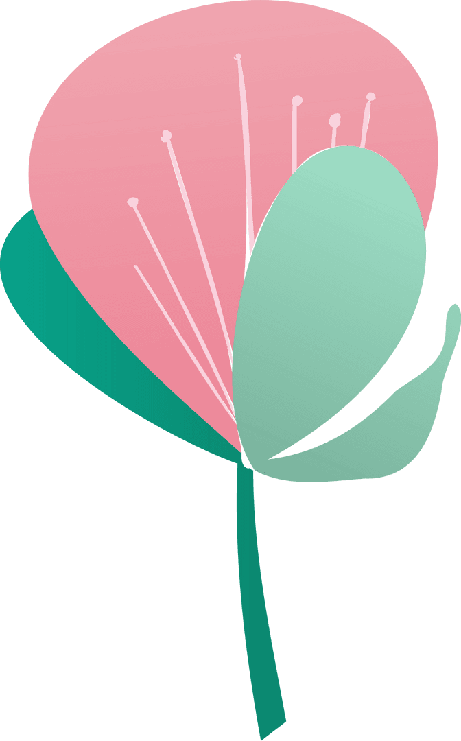 Abstract Flower with Green Leaves on Transparent Background