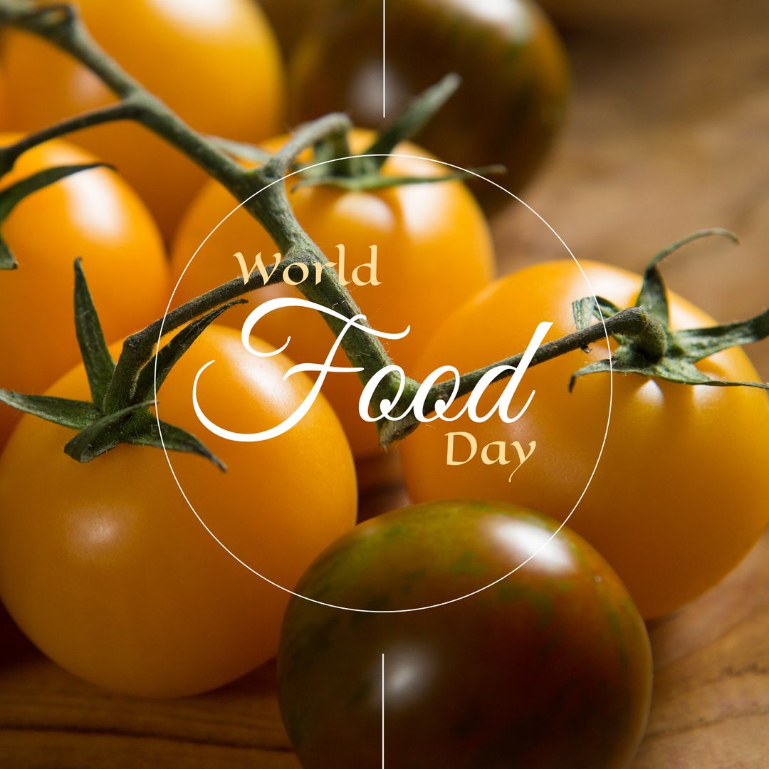World Food Day Celebrated with Multicolored Tomatoes