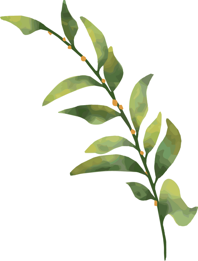 Transparent Watercolor Leafy Branch Design with Orange Buds