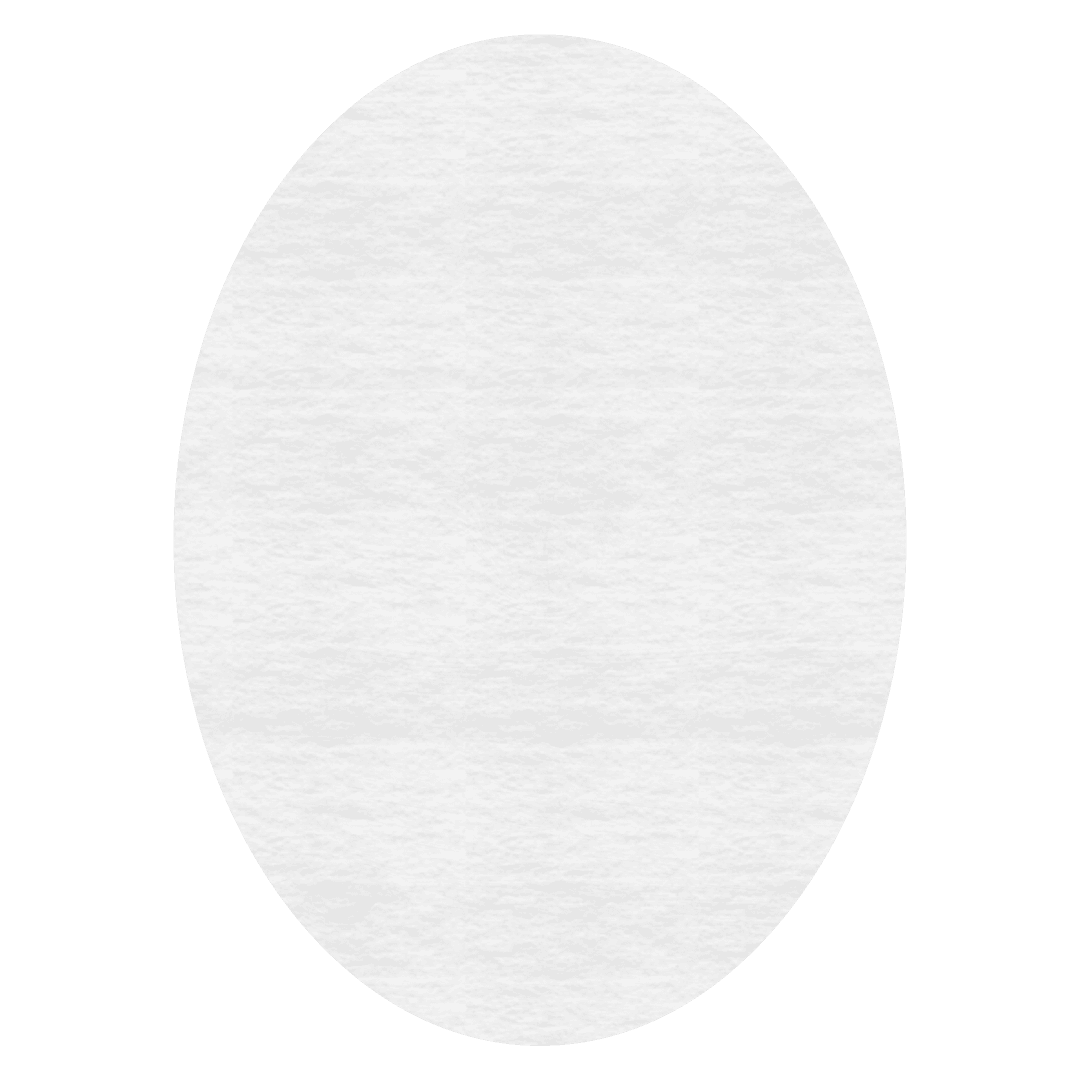Grey Egg Shape Illustration on Transparent Background