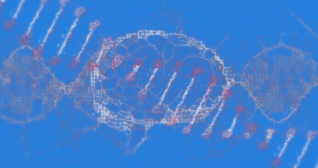Spinning DNA Strand and Human Brain Visualization