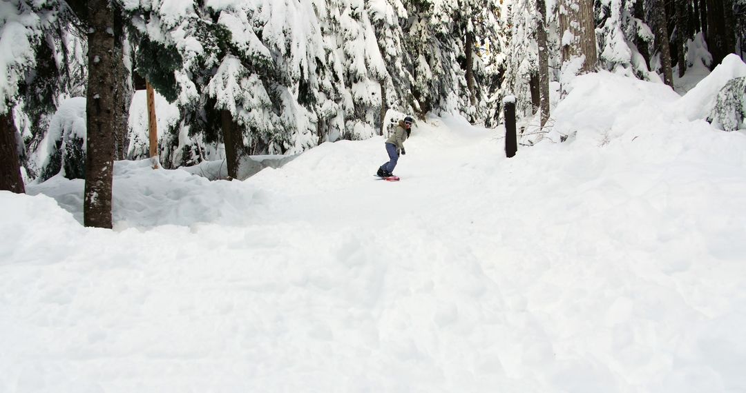 A person is snowboarding down a snowy slope surrounded by snow-laden trees, with copy space - Free Images, Stock Photos and Pictures on Pikwizard.com